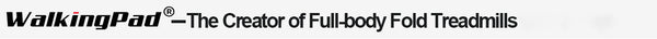 WalkingPad